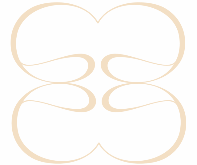 https://aideearias.com/wp-content/uploads/2025/07/BEIS_1000PX-640x536.png
